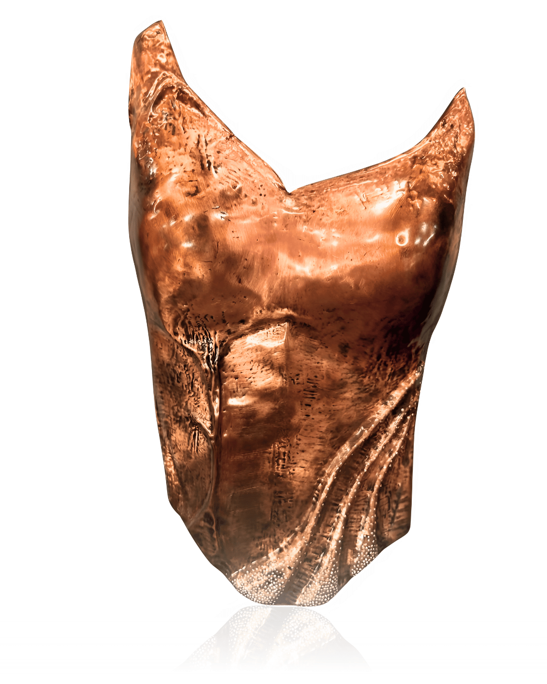 Queen's Armour Corset