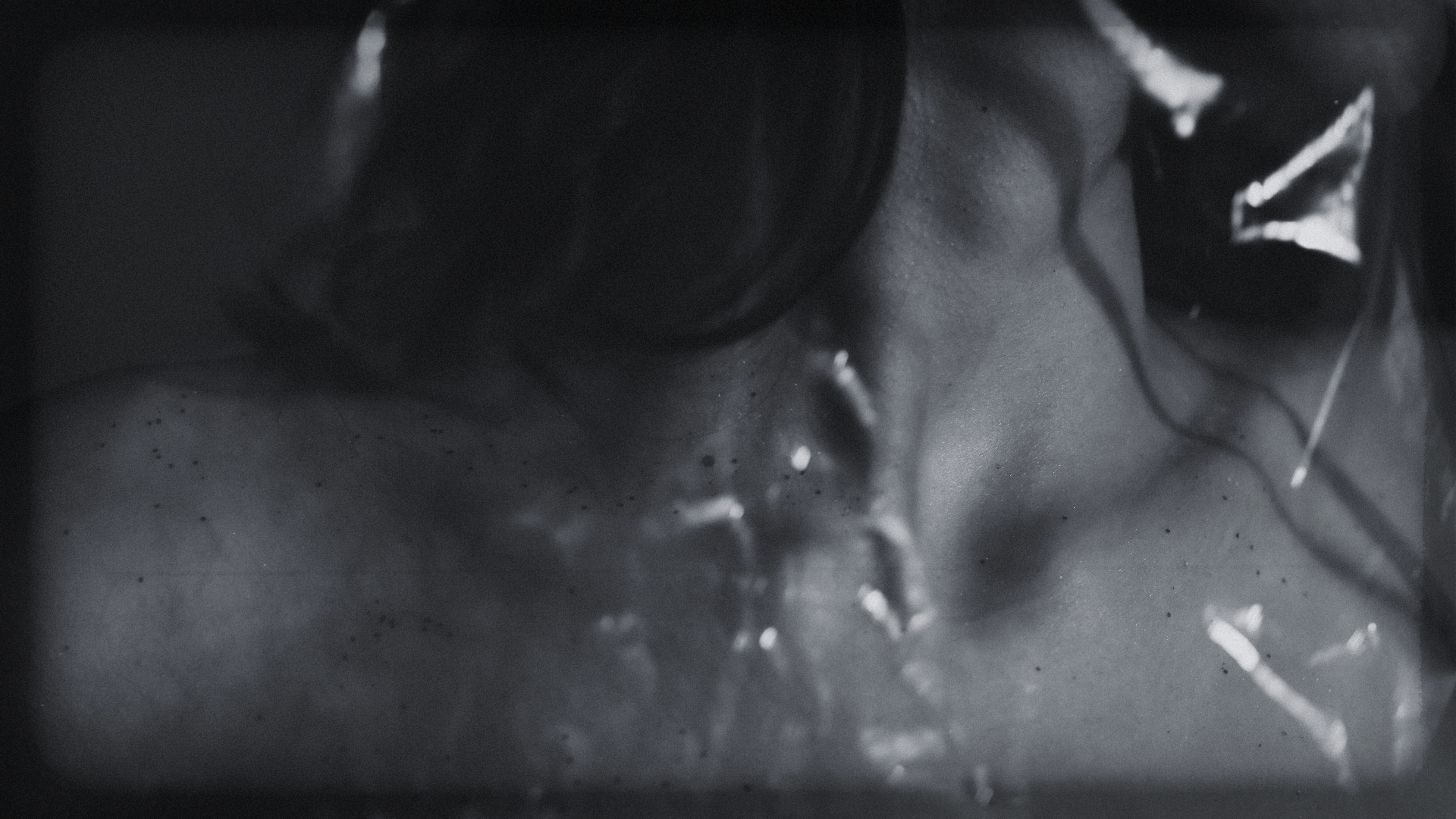 collection-banner-image