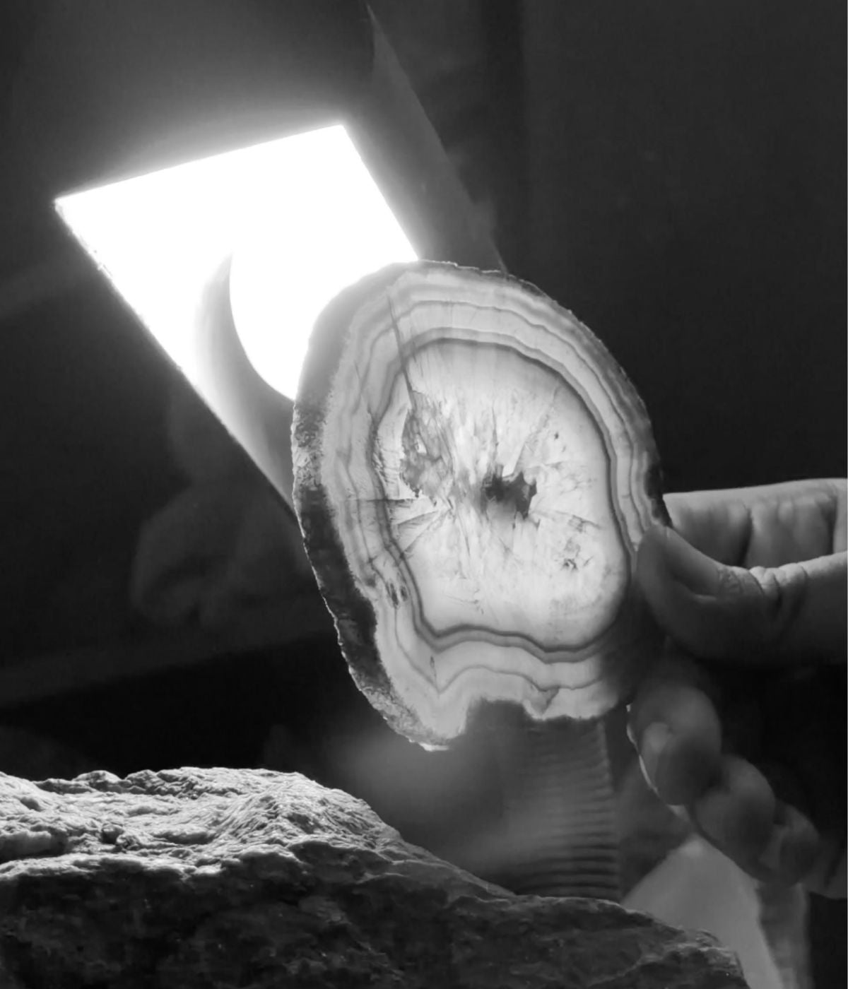 Close-up of raw agate stone slice held in hands, black and white