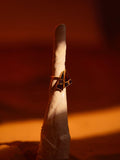 Tsugumi kintsugi cocktail ring with black enamel and gold crack lines in warm directional light.